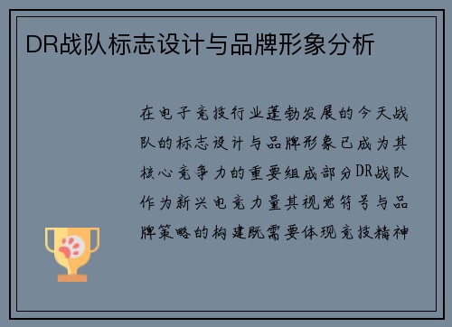 DR战队标志设计与品牌形象分析