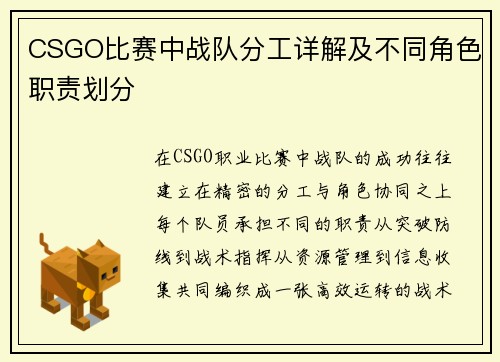 CSGO比赛中战队分工详解及不同角色职责划分